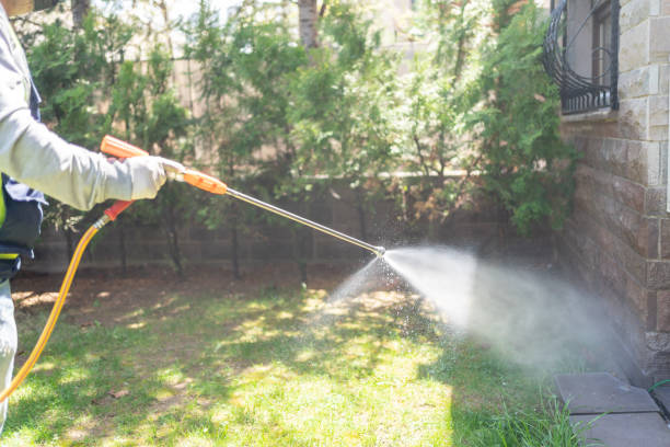 Seasonal Pest Control (e.g., summer mosquitoes, winter rodents) in Whitney Point, NY